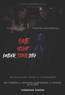 one night understanding-poster